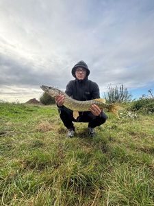 Northern Pike