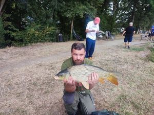 Common Carp