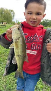 Largemouth Bass
