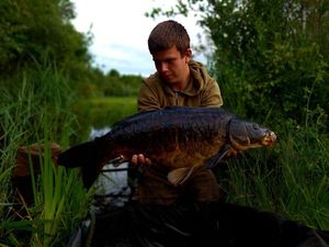 Common Carp