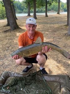 Grass Carp