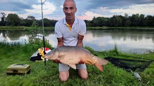 Mirror Carp