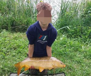 Common Carp