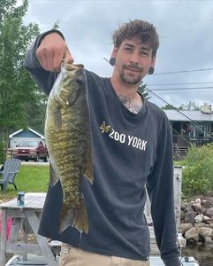 Smallmouth Bass
