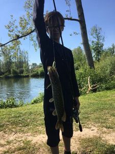 Northern Pike