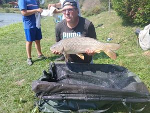 Common Carp