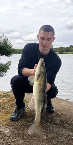 Zander
