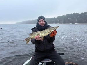 Northern Pike