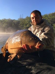 Mirror Carp