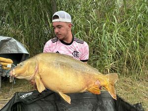 Mirror Carp
