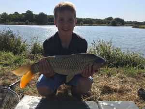 Common Carp