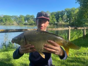 Mirror Carp