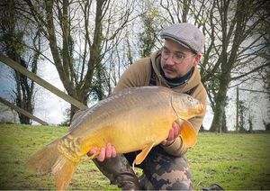 Mirror Carp
