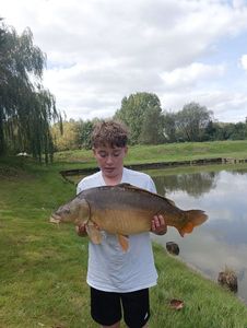 Mirror Carp