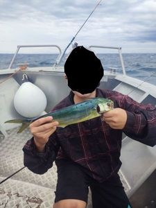 Dolphinfish