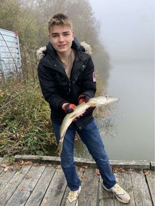 Northern Pike