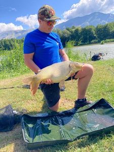 Common Carp