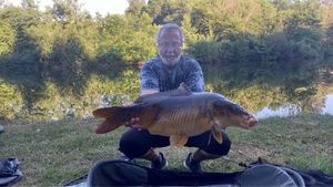 Mirror Carp