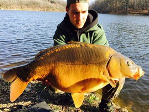 Mirror Carp