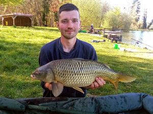 Common Carp