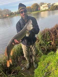 Northern Pike