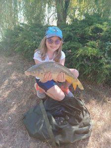 Mirror Carp