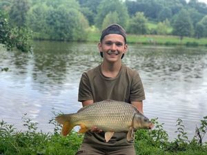 Common Carp