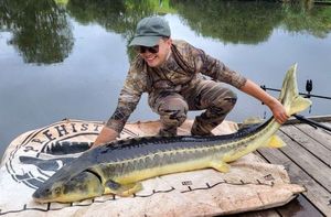 Sturgeon