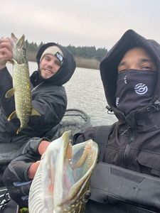 Northern Pike