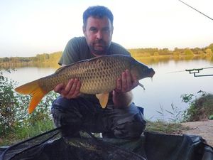 Common Carp