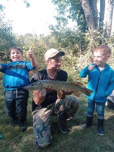 Northern Pike