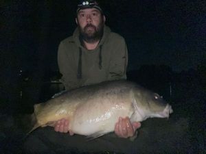 Mirror Carp