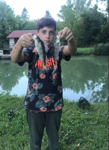 European Perch