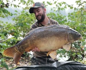 Mirror Carp