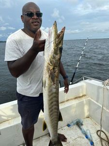 Great Barracuda