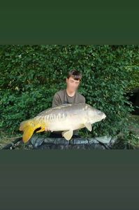 Mirror Carp