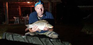 Mirror Carp