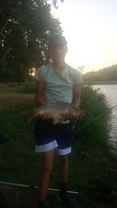 Common Carp