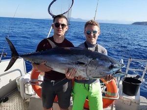 Bluefin Tuna