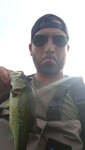 Largemouth Bass