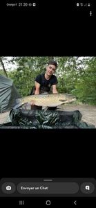 Grass Carp