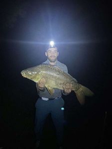 Leather Carp