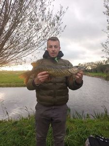 Northern Pike