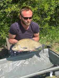 Common Bream