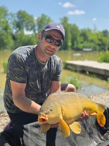Common Carp