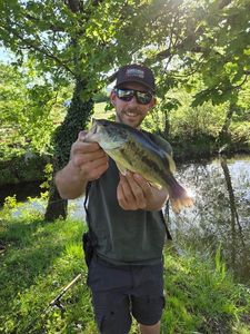 Smallmouth Bass