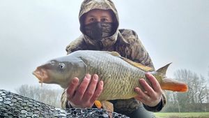 Common Carp
