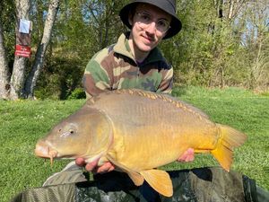 Mirror Carp