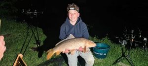 Common Carp