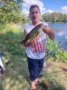 Largemouth Bass